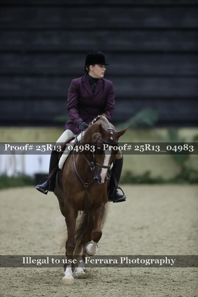 Proof 25R13_04983