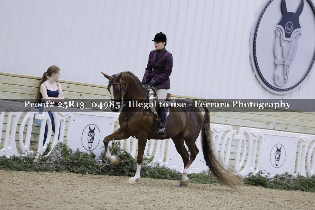 Proof 25R13_04985