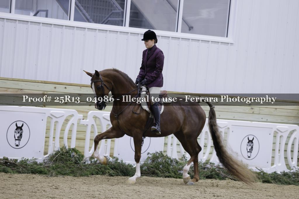 Proof 25R13_04986