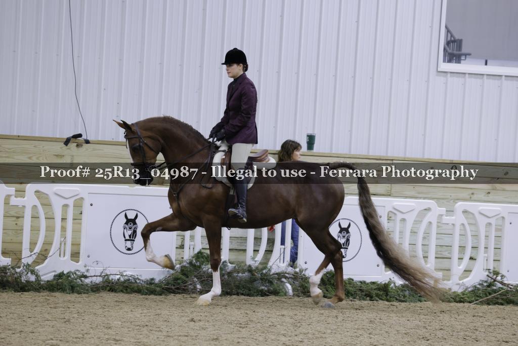 Proof 25R13_04987