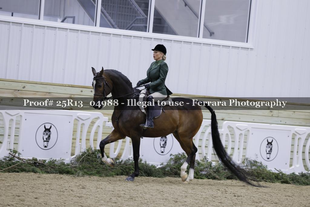 Proof 25R13_04988