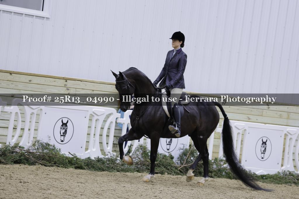 Proof 25R13_04990