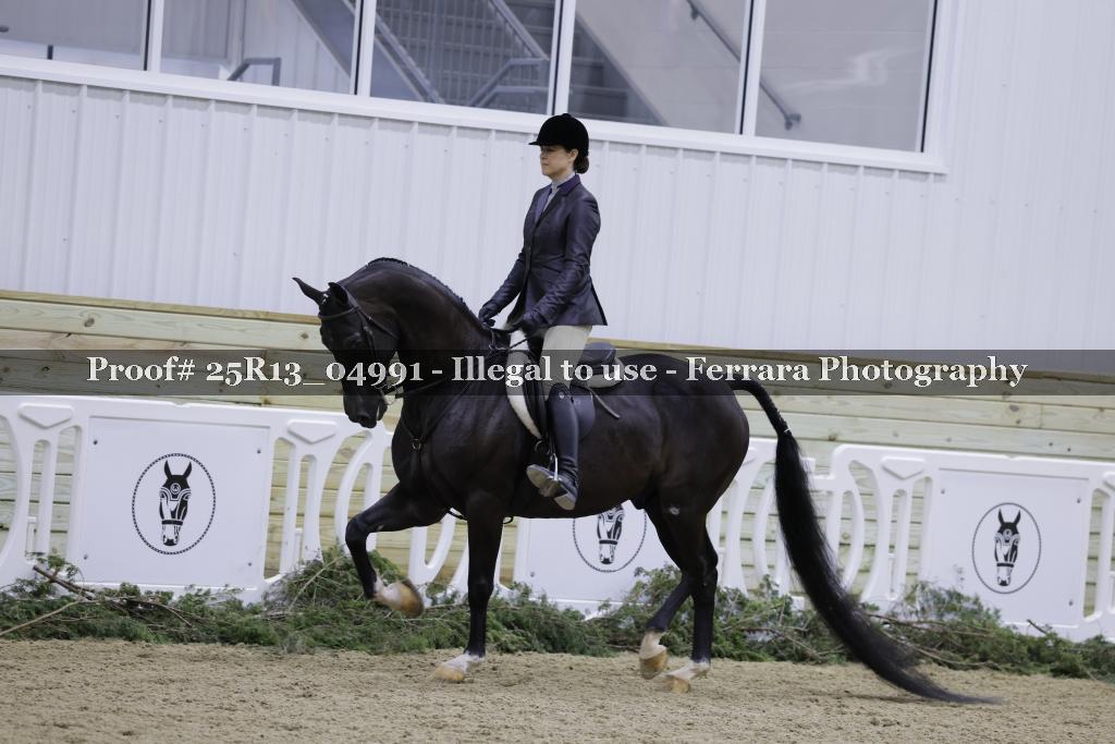 Proof 25R13_04991