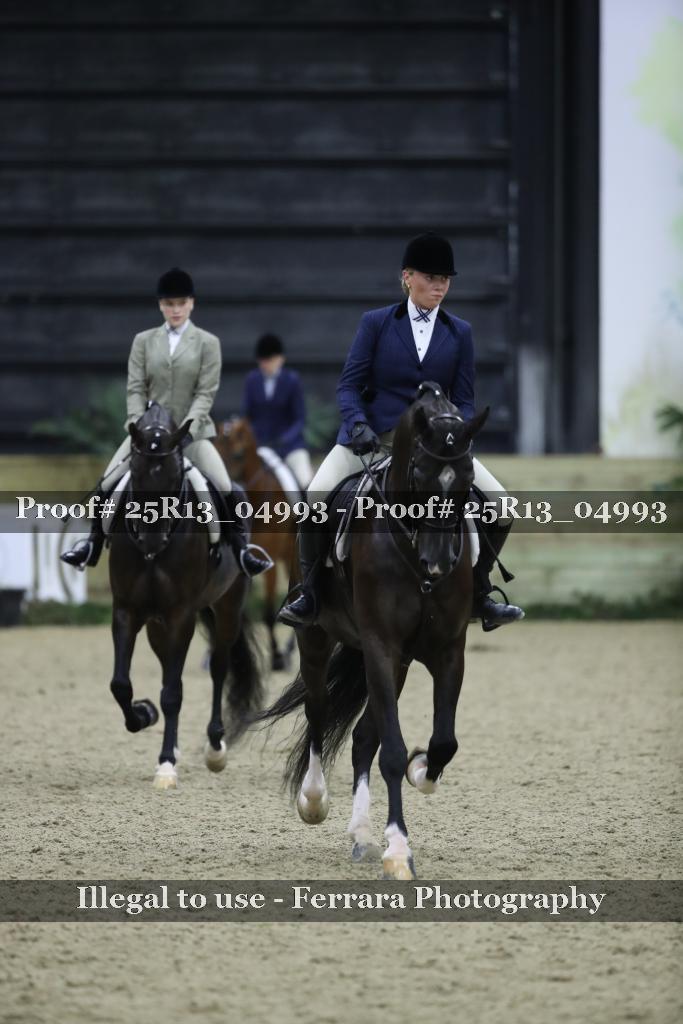 Proof 25R13_04993