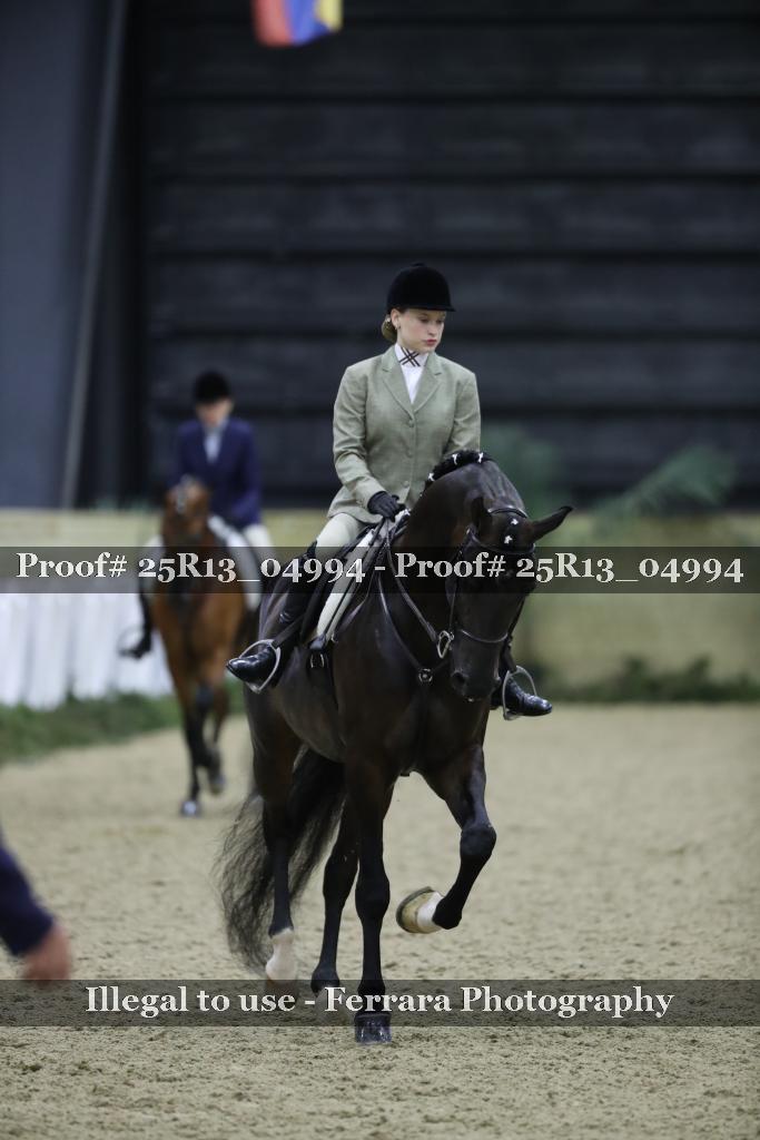 Proof 25R13_04994