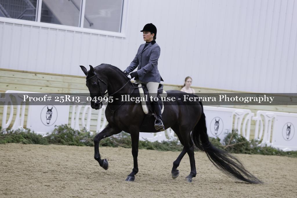 Proof 25R13_04995