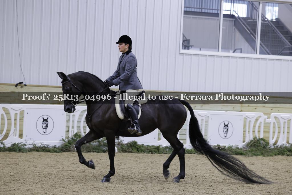 Proof 25R13_04996