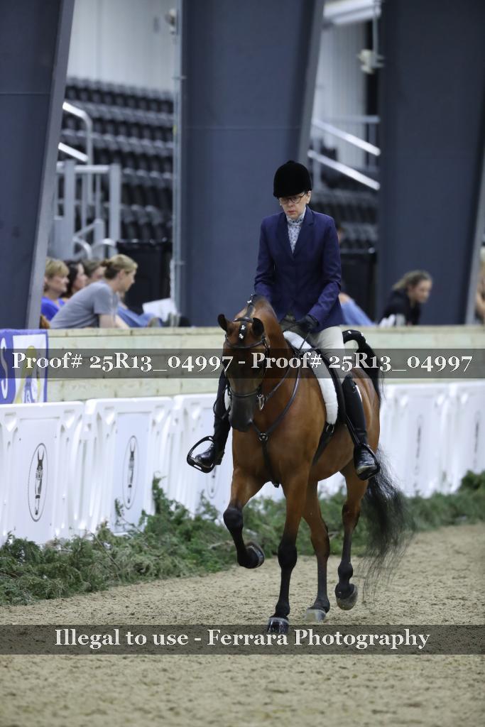 Proof 25R13_04997