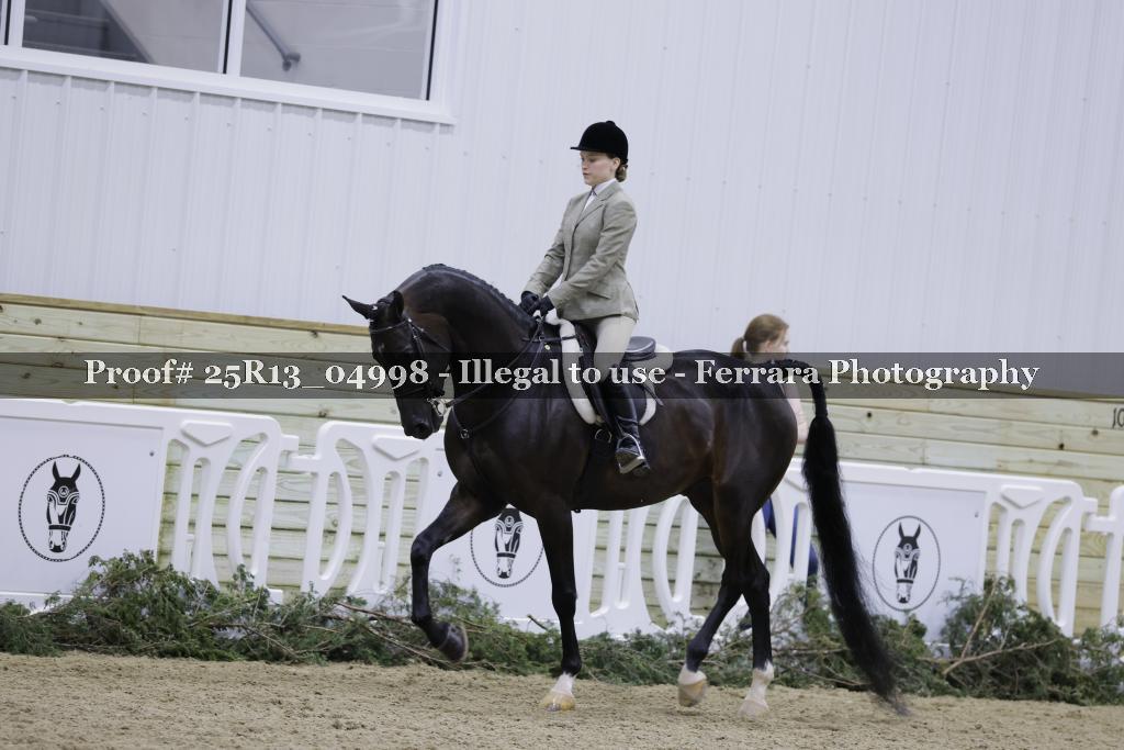 Proof 25R13_04998