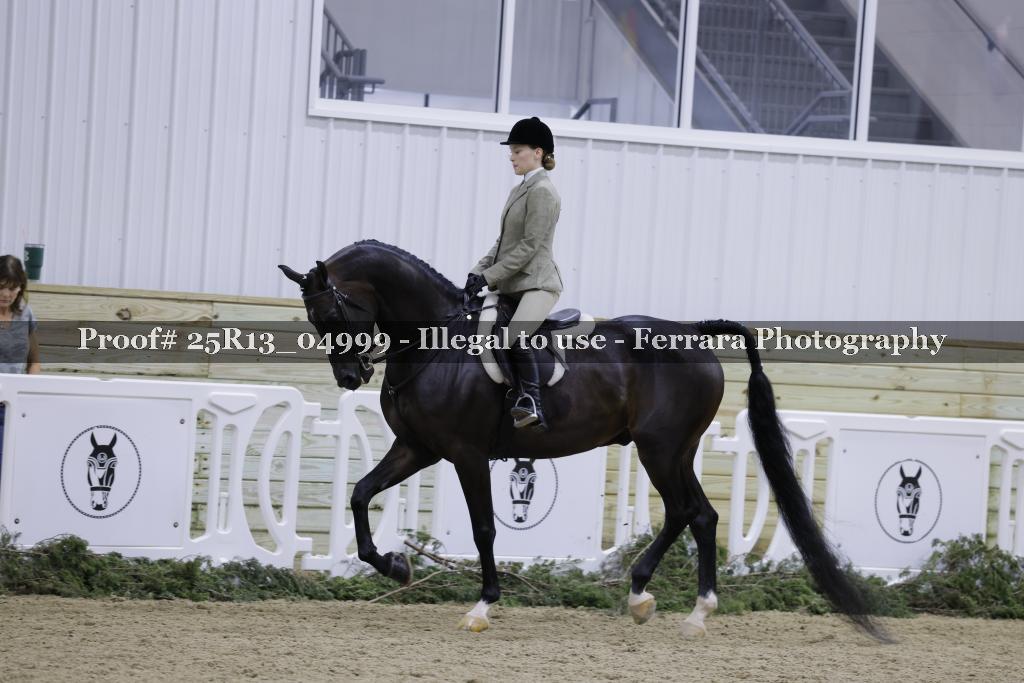 Proof 25R13_04999