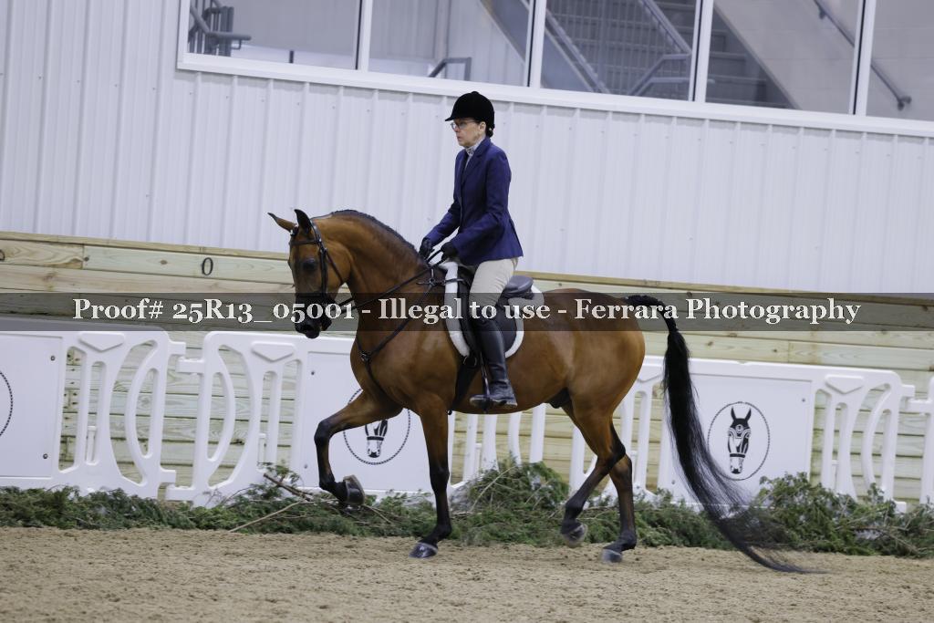 Proof 25R13_05001