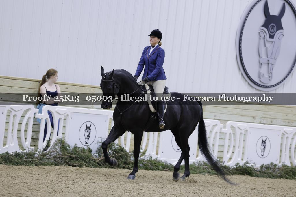 Proof 25R13_05003