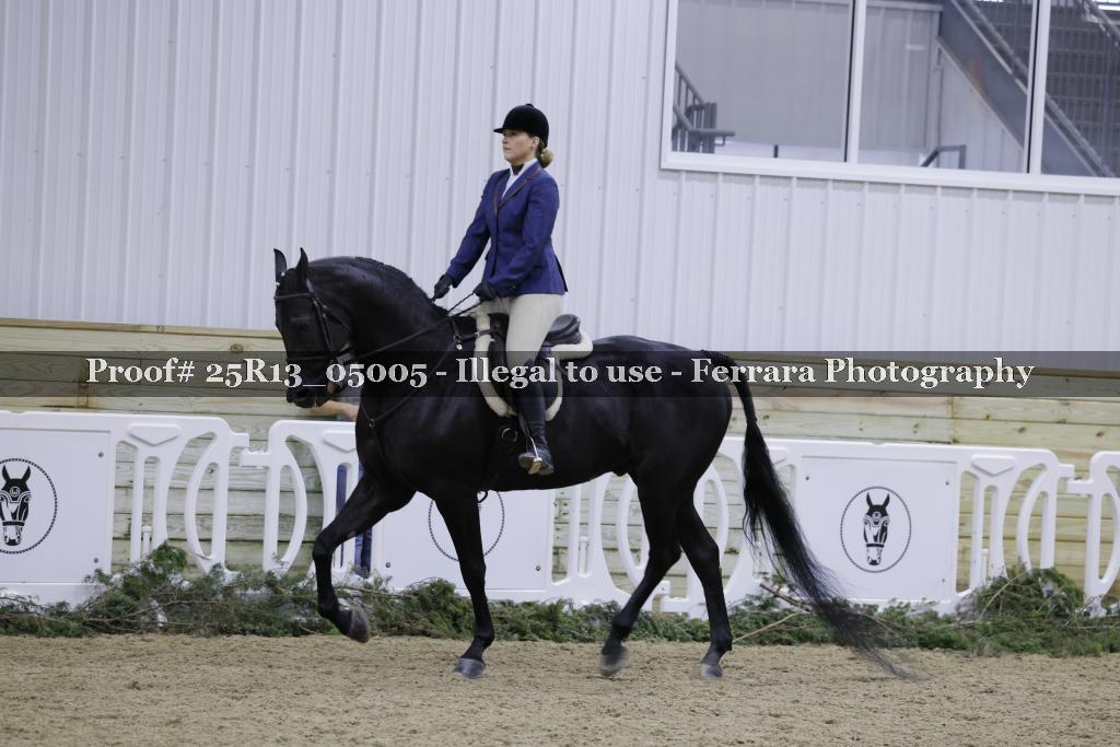 Proof 25R13_05005