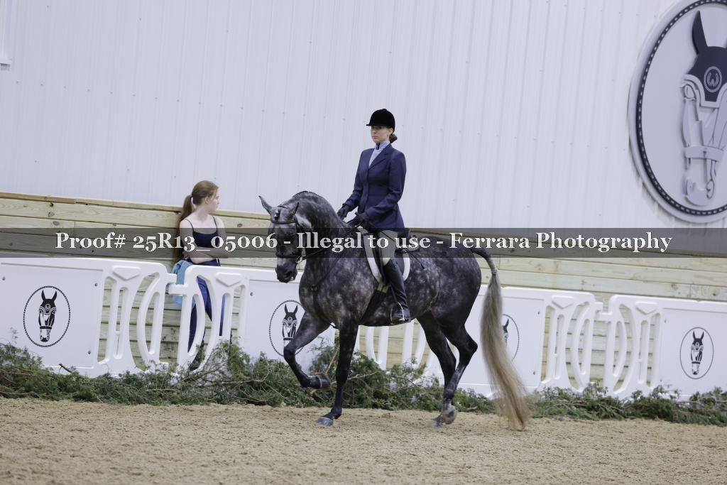 Proof 25R13_05006