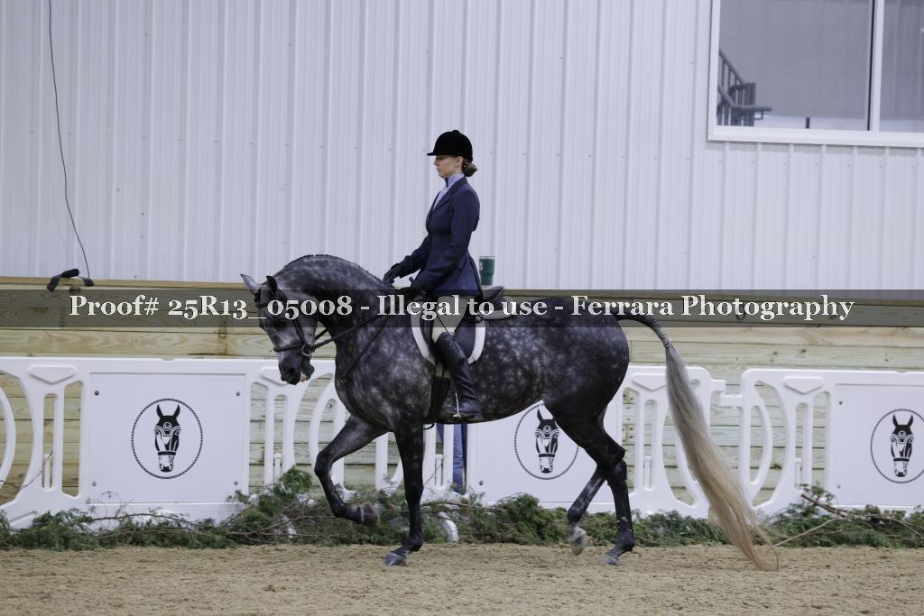 Proof 25R13_05008