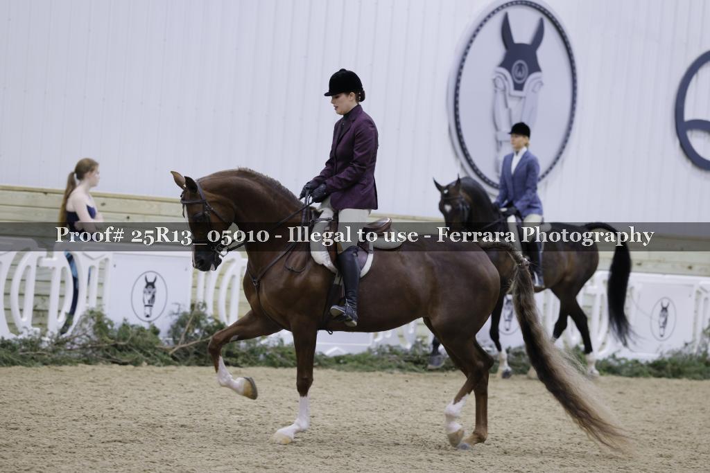 Proof 25R13_05010