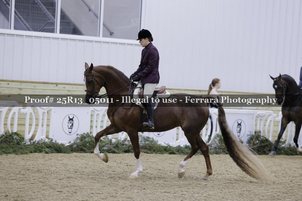 Proof 25R13_05011
