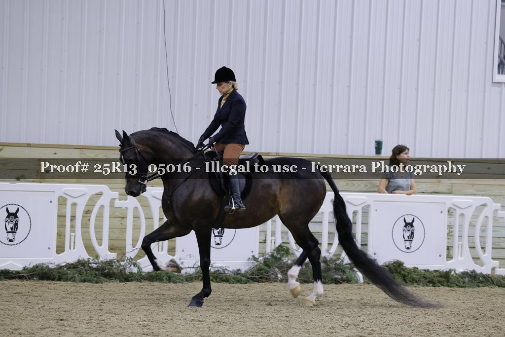 Proof 25R13_05016