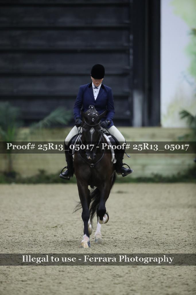 Proof 25R13_05017