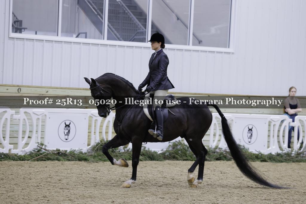 Proof 25R13_05020