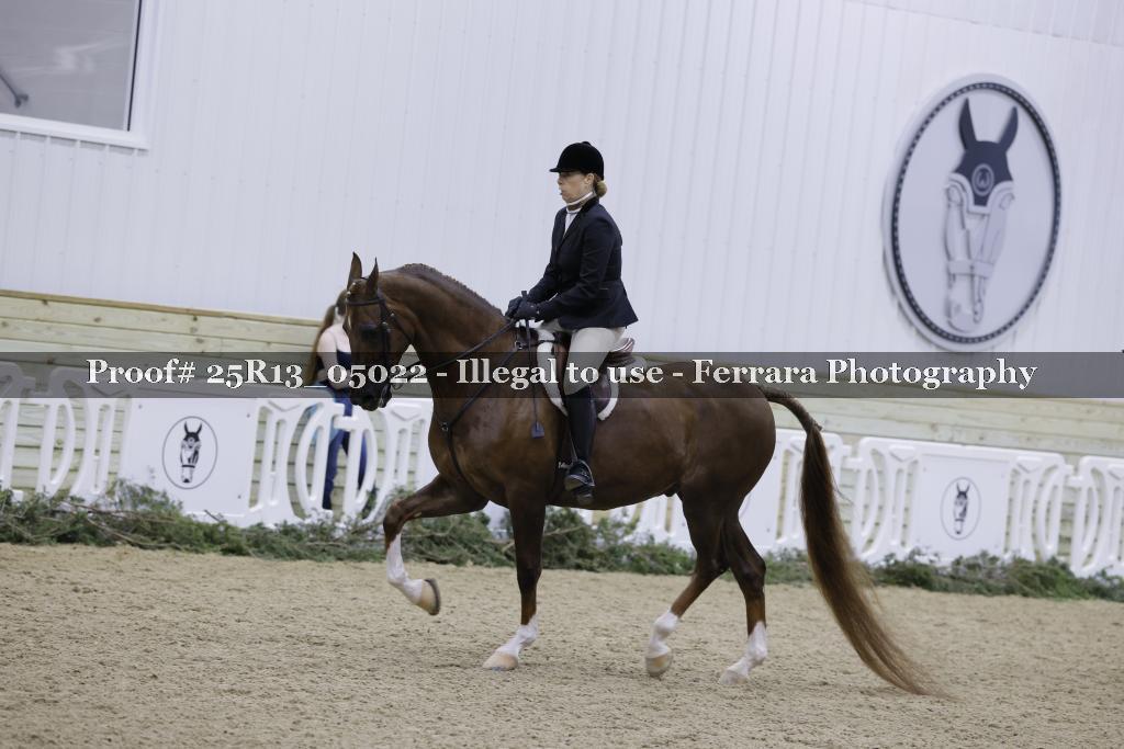 Proof 25R13_05022