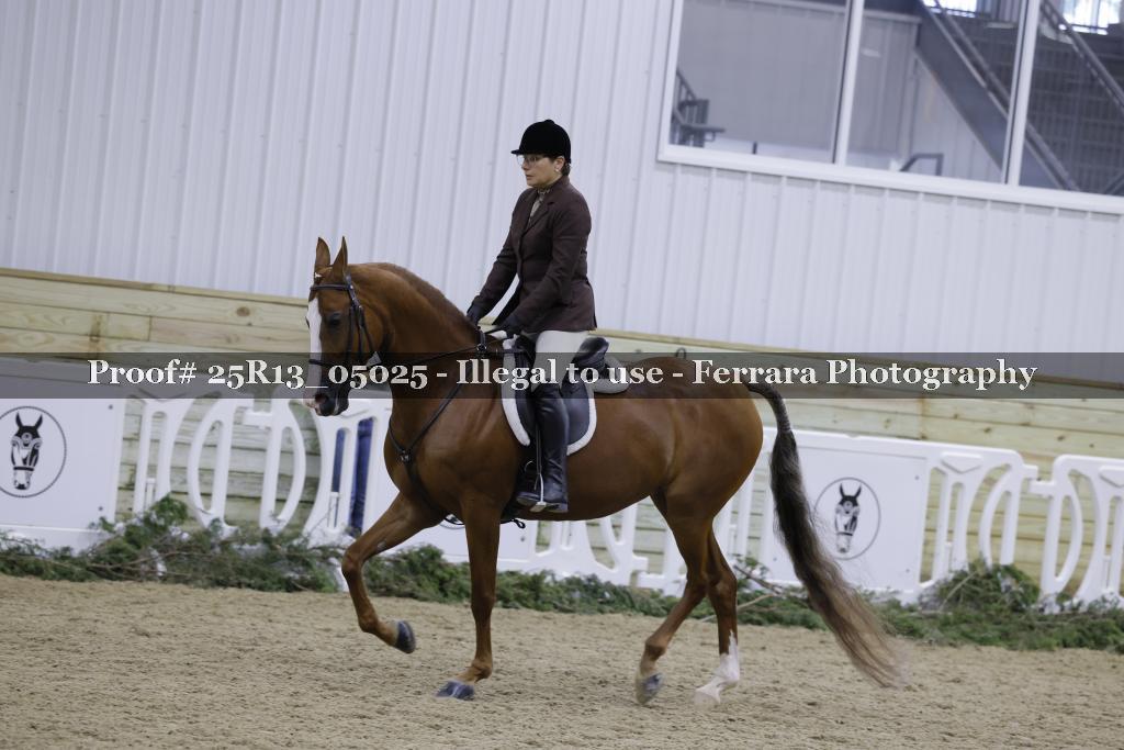Proof 25R13_05025