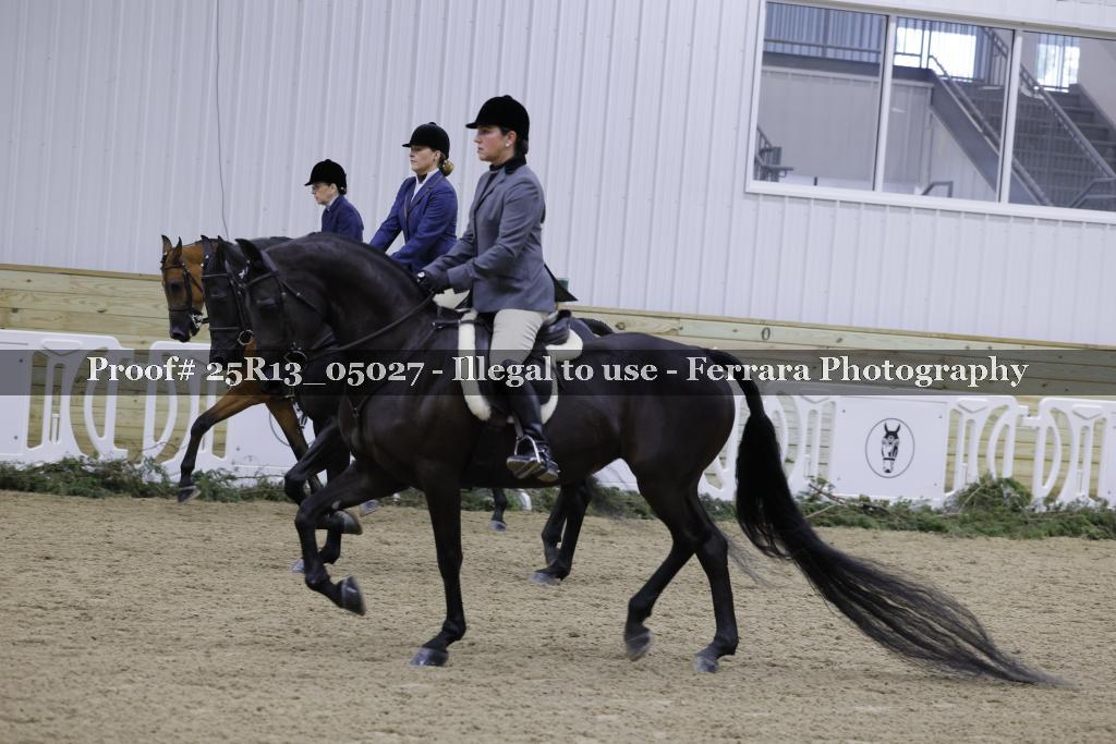 Proof 25R13_05027