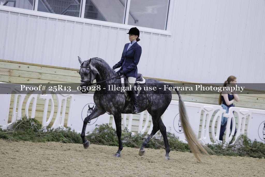 Proof 25R13_05028