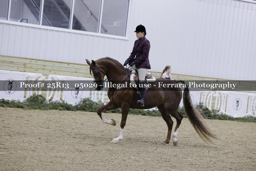 Proof 25R13_05029