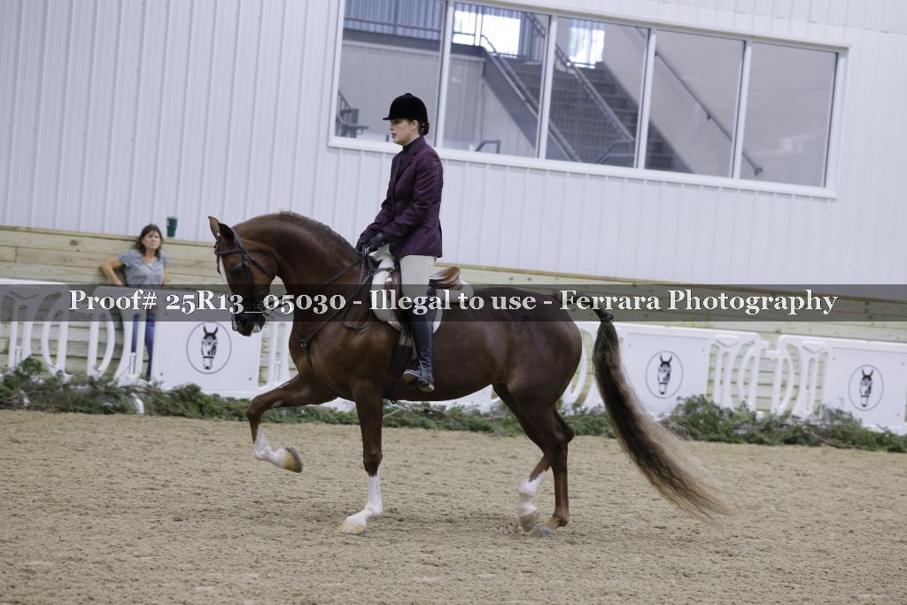 Proof 25R13_05030