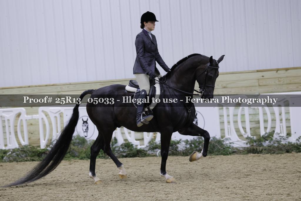 Proof 25R13_05033
