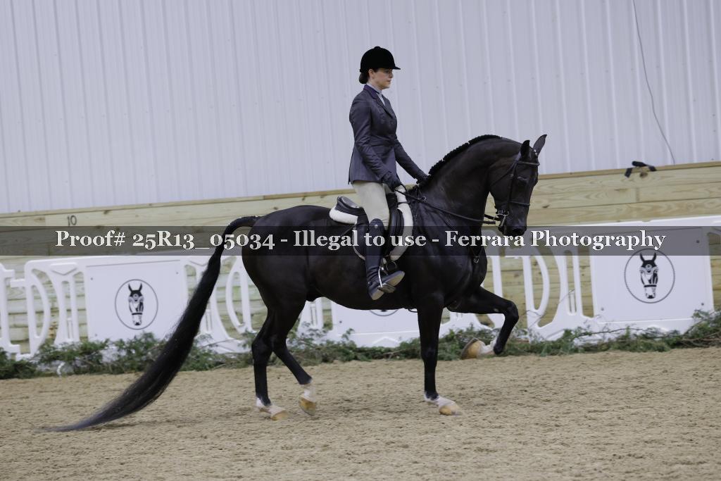 Proof 25R13_05034