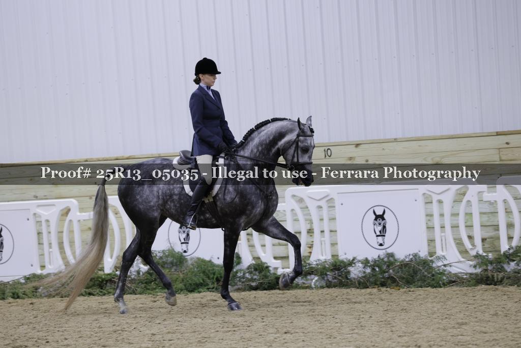Proof 25R13_05035
