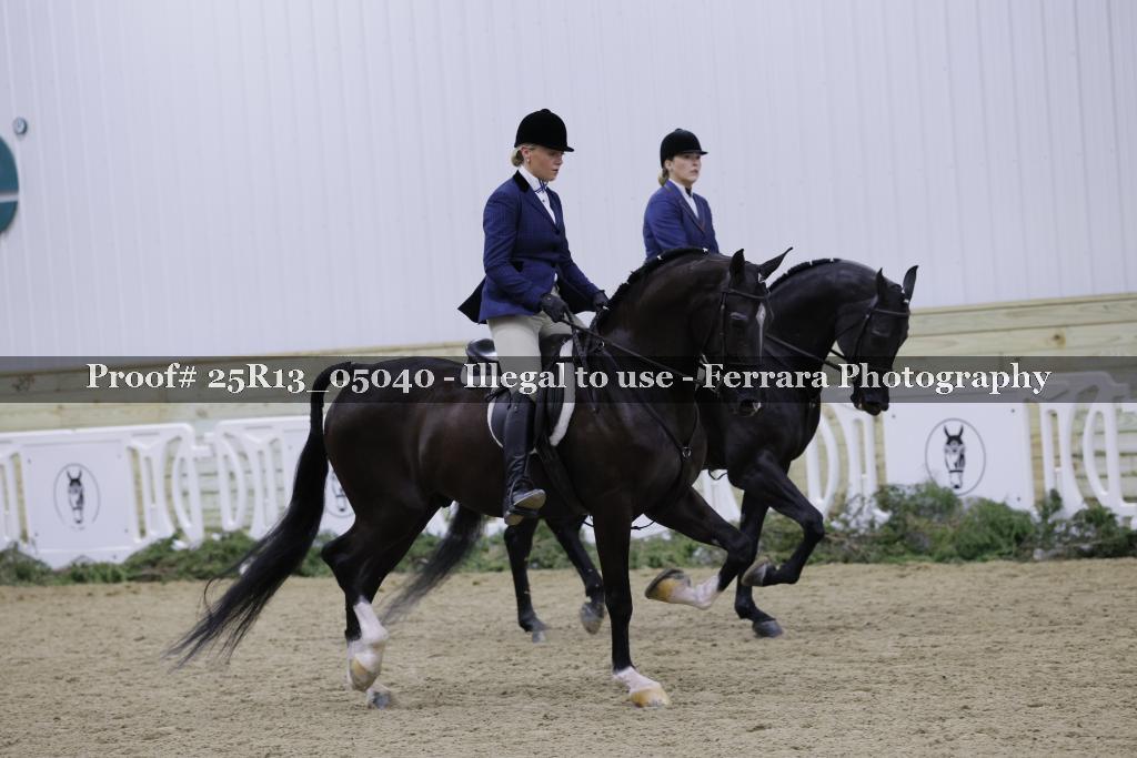 Proof 25R13_05040