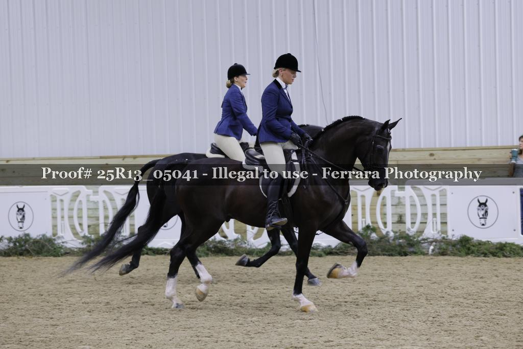 Proof 25R13_05041