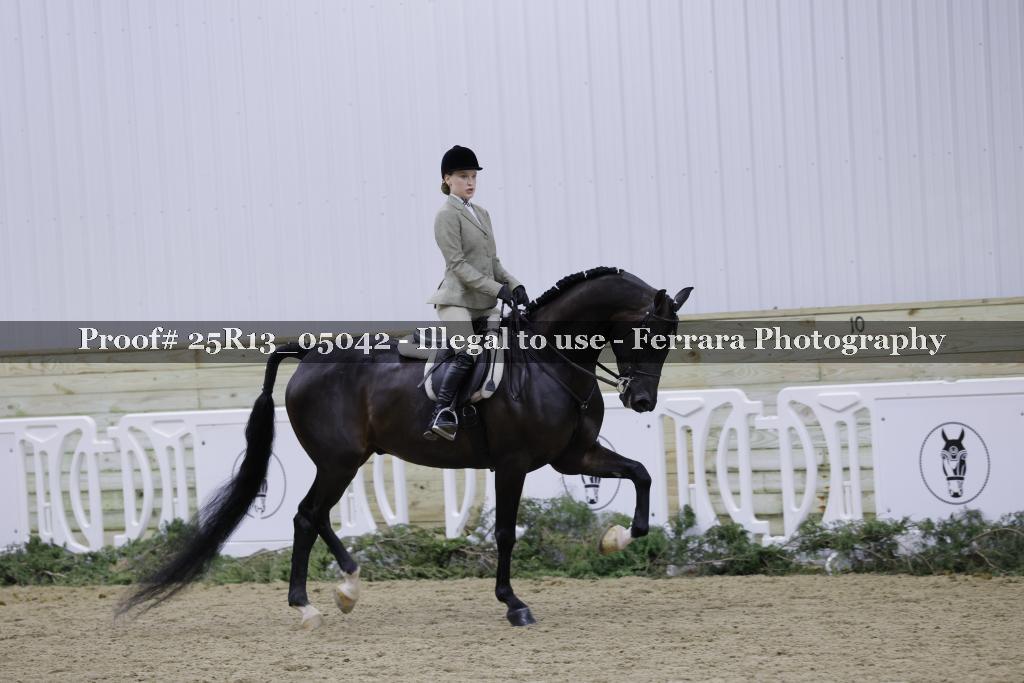 Proof 25R13_05042