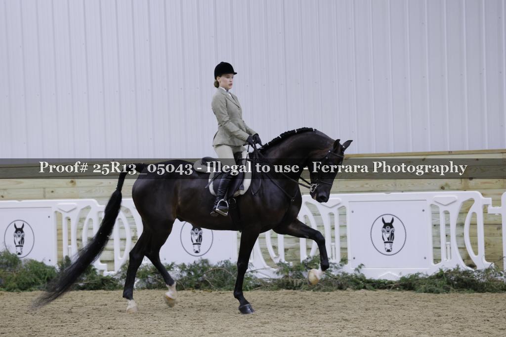 Proof 25R13_05043
