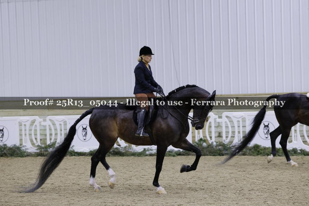 Proof 25R13_05044