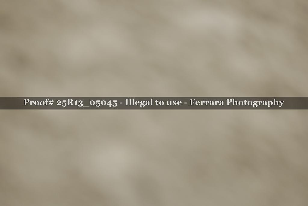 Proof 25R13_05045