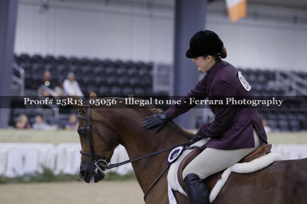 Proof 25R13_05056