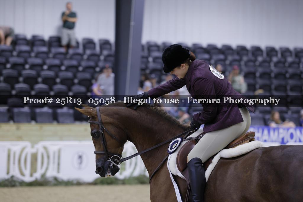Proof 25R13_05058