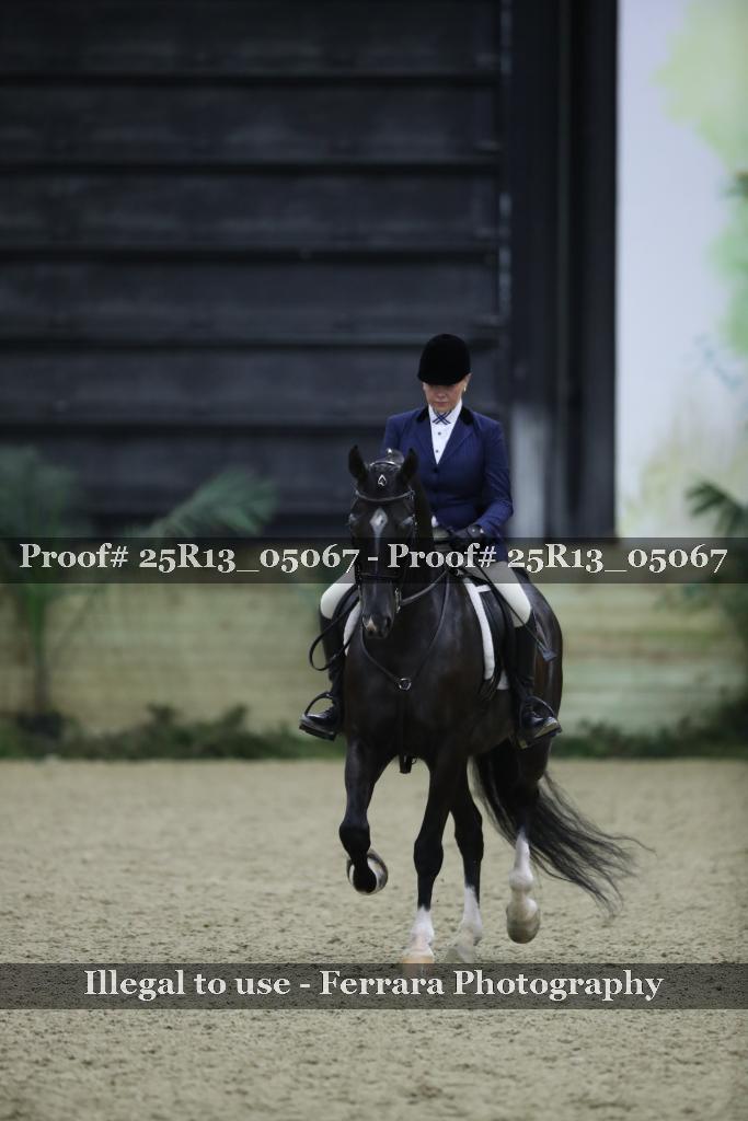 Proof 25R13_05067