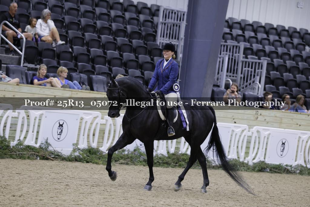 Proof 25R13_05072