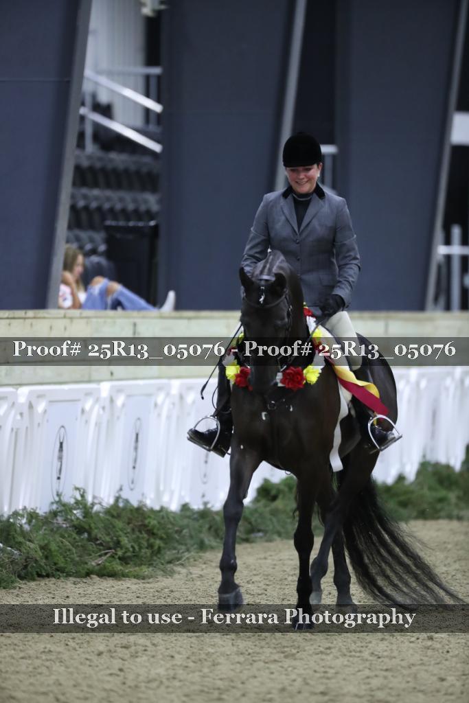 Proof 25R13_05076