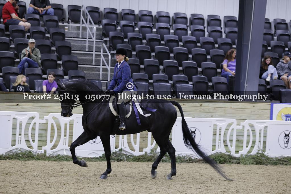 Proof 25R13_05077