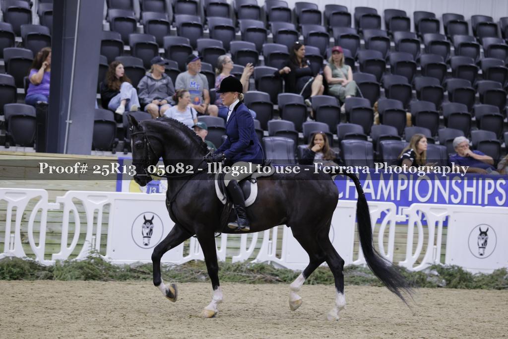 Proof 25R13_05082