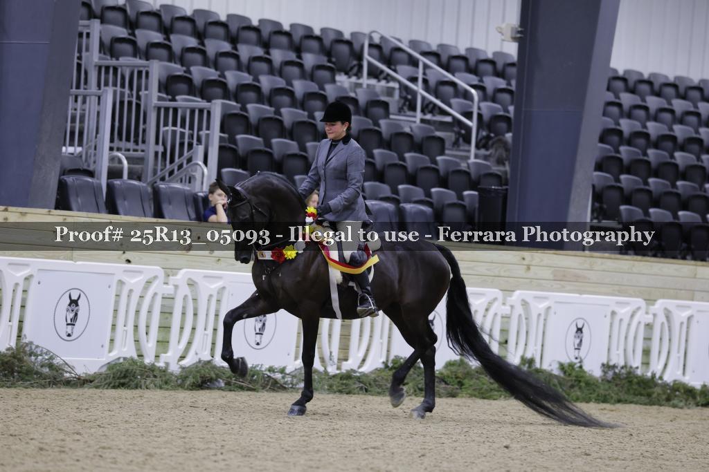 Proof 25R13_05093
