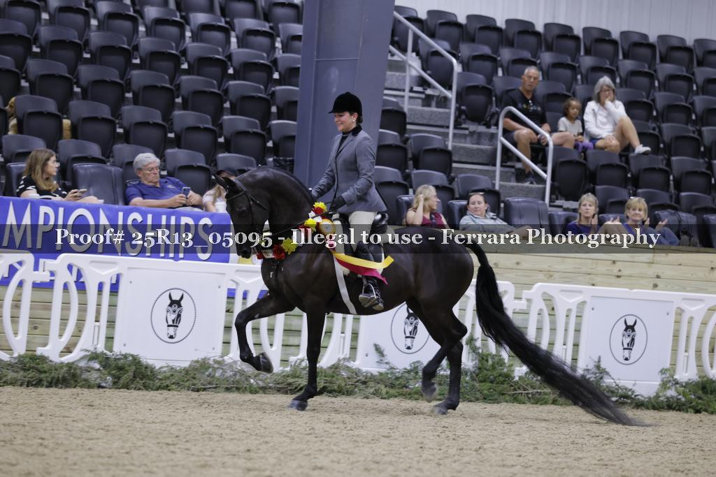 Proof 25R13_05095