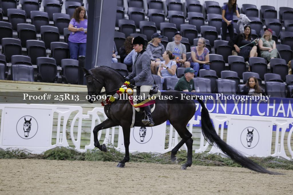 Proof 25R13_05097