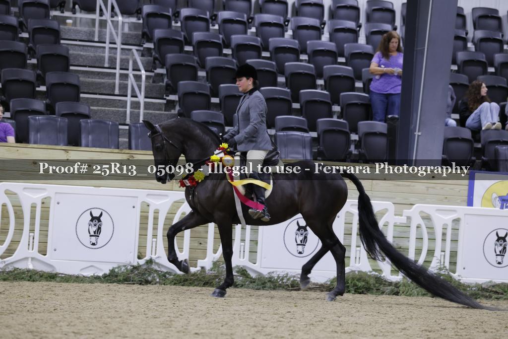 Proof 25R13_05098